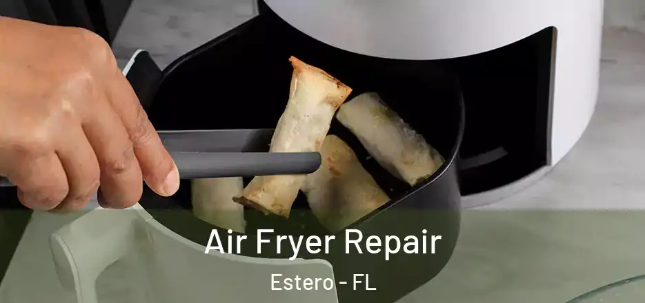  Air Fryer Repair Estero - FL