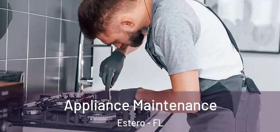 Appliance Maintenance Estero - FL