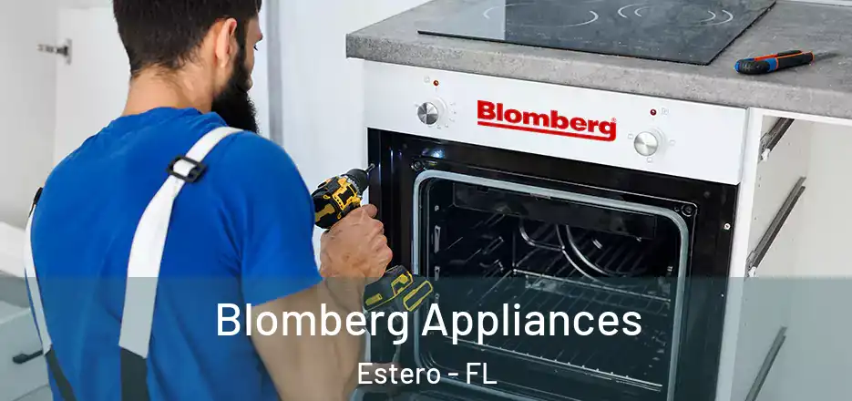 Blomberg Appliances Estero - FL