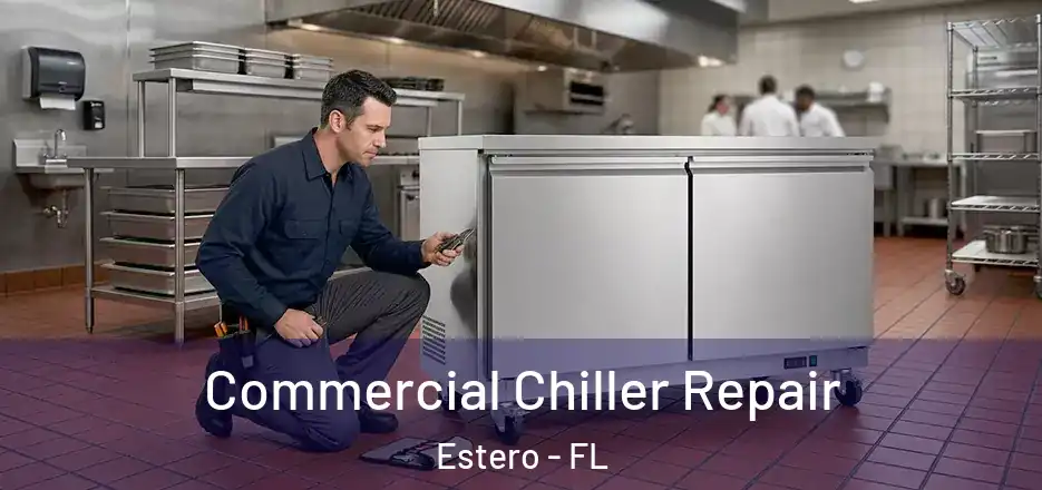 Commercial Chiller Repair Estero - FL