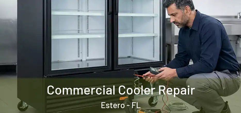  Commercial Cooler Repair Estero - FL