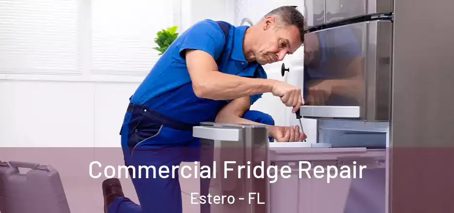  Commercial Fridge Repair Estero - FL