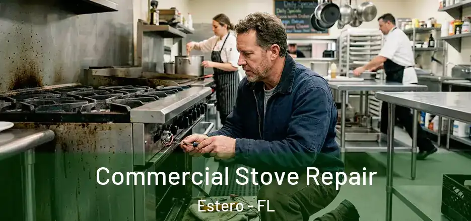  Commercial Stove Repair Estero - FL