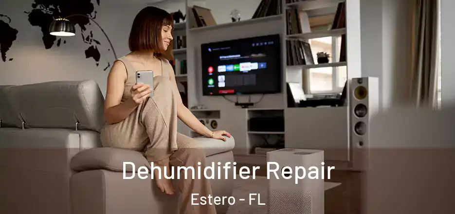 Dehumidifier Repair Estero - FL