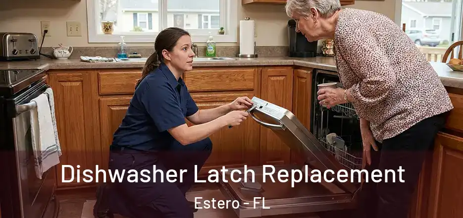 Dishwasher Latch Replacement Estero - FL