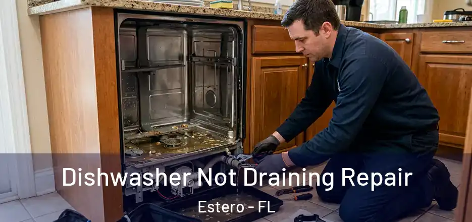 Dishwasher Not Draining Repair Estero - FL
