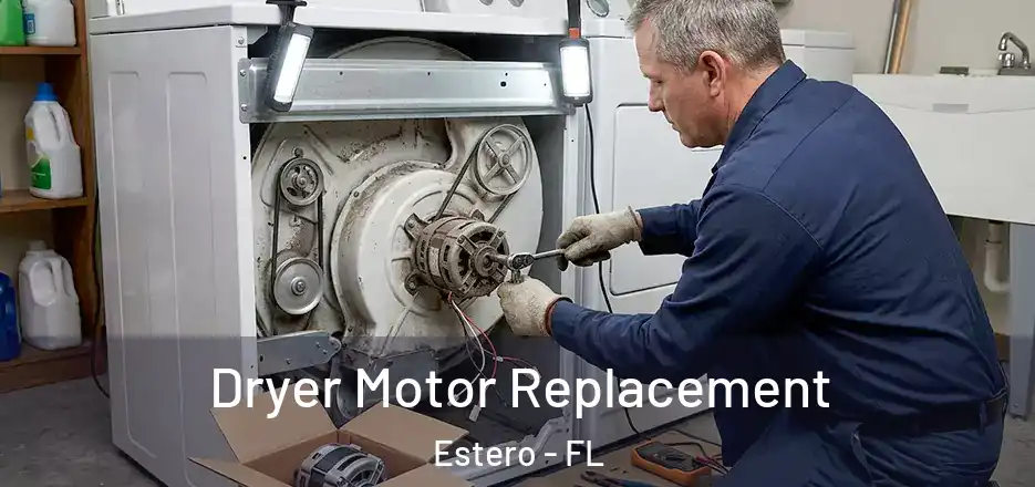 Dryer Motor Replacement Estero - FL