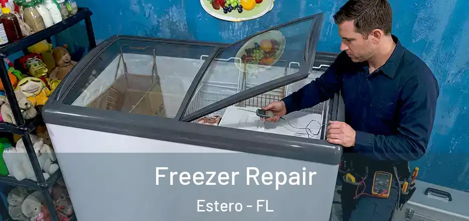 Freezer Repair Estero - FL