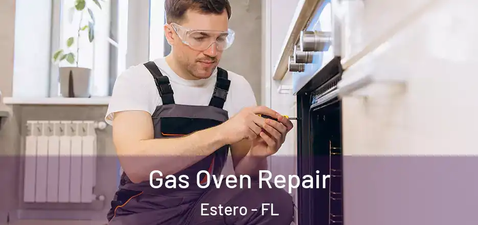 Gas Oven Repair Estero - FL