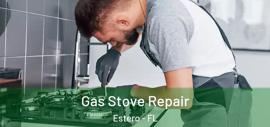 Gas Stove Repair Estero - FL
