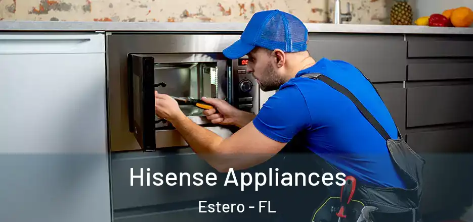  Hisense Appliances Estero - FL