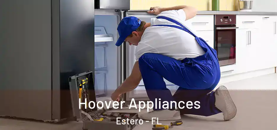 Hoover Appliances Estero - FL