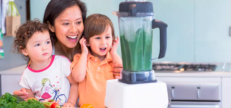 Juicer and Mixer Blender Repair in Estero 