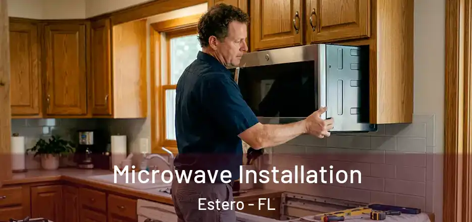 Microwave Installation Estero - FL