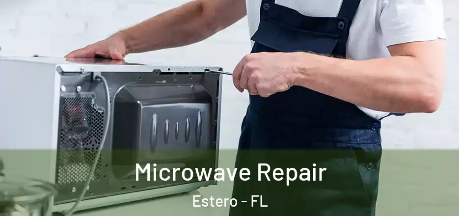 Microwave Repair Estero - FL