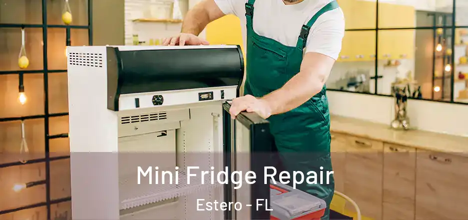 Mini Fridge Repair Estero - FL