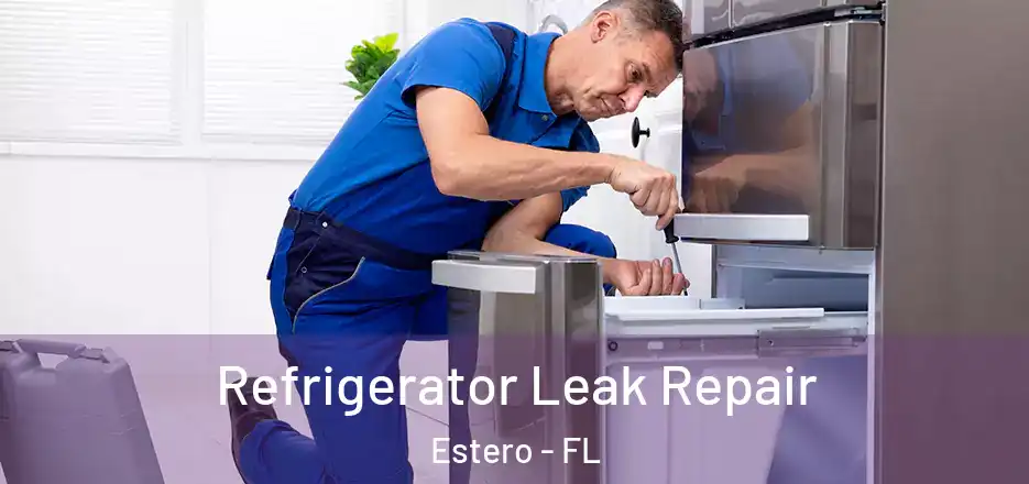 Refrigerator Leak Repair Estero - FL