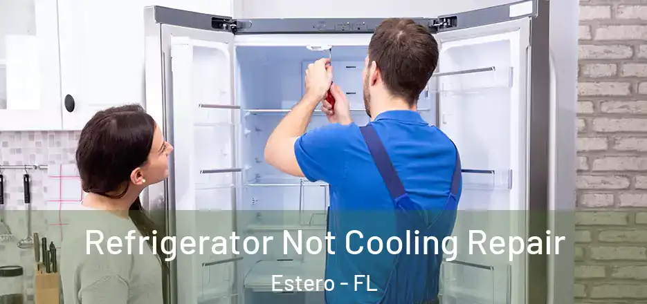 Refrigerator Not Cooling Repair Estero - FL