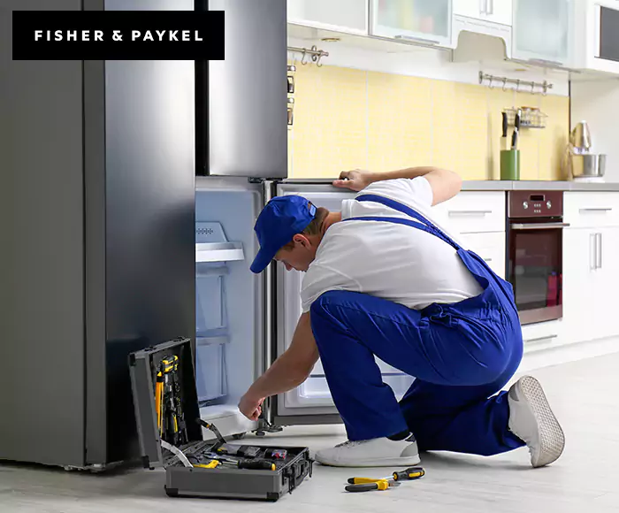 Top-Rated Fisher & Paykel Appliance Experts: Your Brand Specialist in Estero, FL