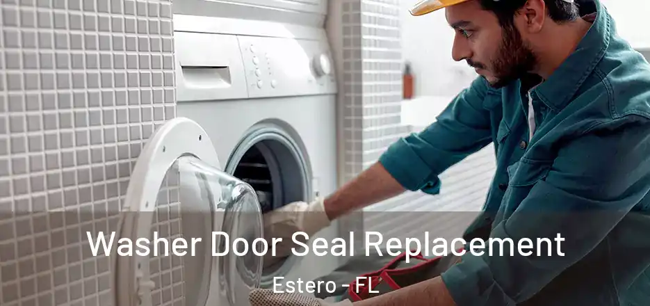  Washer Door Seal Replacement Estero - FL