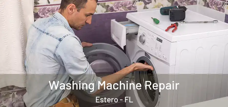 Washing Machine Repair Estero - FL